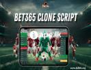 Build a Powerful Betting Platform with Our script